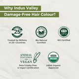 Colorazione per capelli in gel naturale senza danni della Valle dell'Indo | Senza ammoniaca, vegano e cruelty free | Fino al 100% di copertura dei capelli bianchi, risultati duraturi | Castano chiaro 5.0 (20 grammi + 200 ml) Tintura per capelli Naty Shop