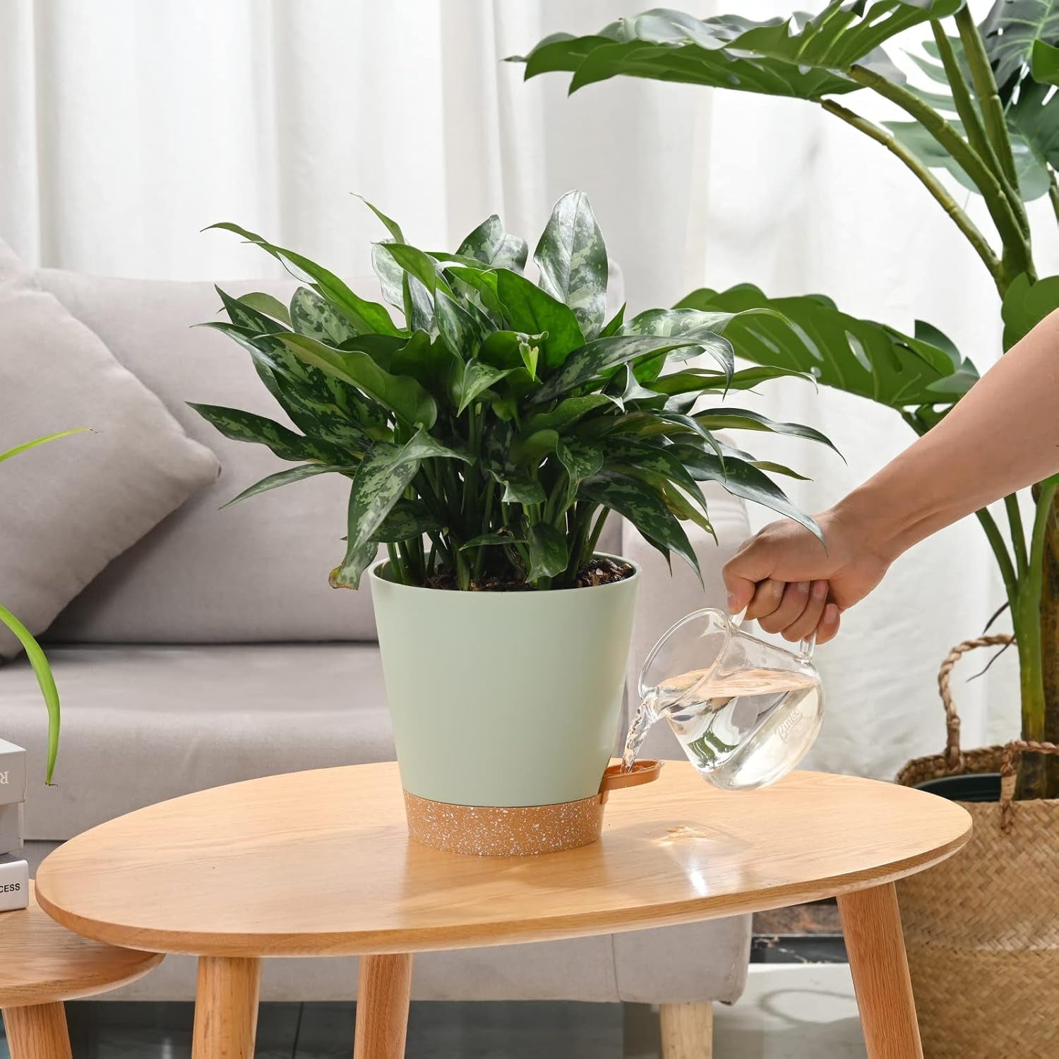Vaso da fiori 6 pezzi 12,7 cm Fioriera autoirrigante Vaso da fiori per interni ed esterni ad alto drenaggio con vassoio per serbatoio e bordo per irrigazione Fioriera da giardino