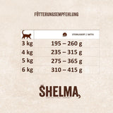 Shelma Cibo umido per gatti Megapack con manzo, tacchino, pollo e anatra - Alimento completo senza cereali ad alto contenuto di carne - 40 x 85 g (3,4 kg)