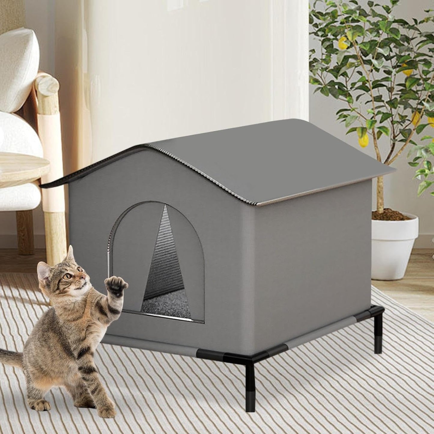 Coperte e Arredi, Animali Domestici, Grotte e Casette, Gatti, Letti per gatti, Gatti - Letti, materassi