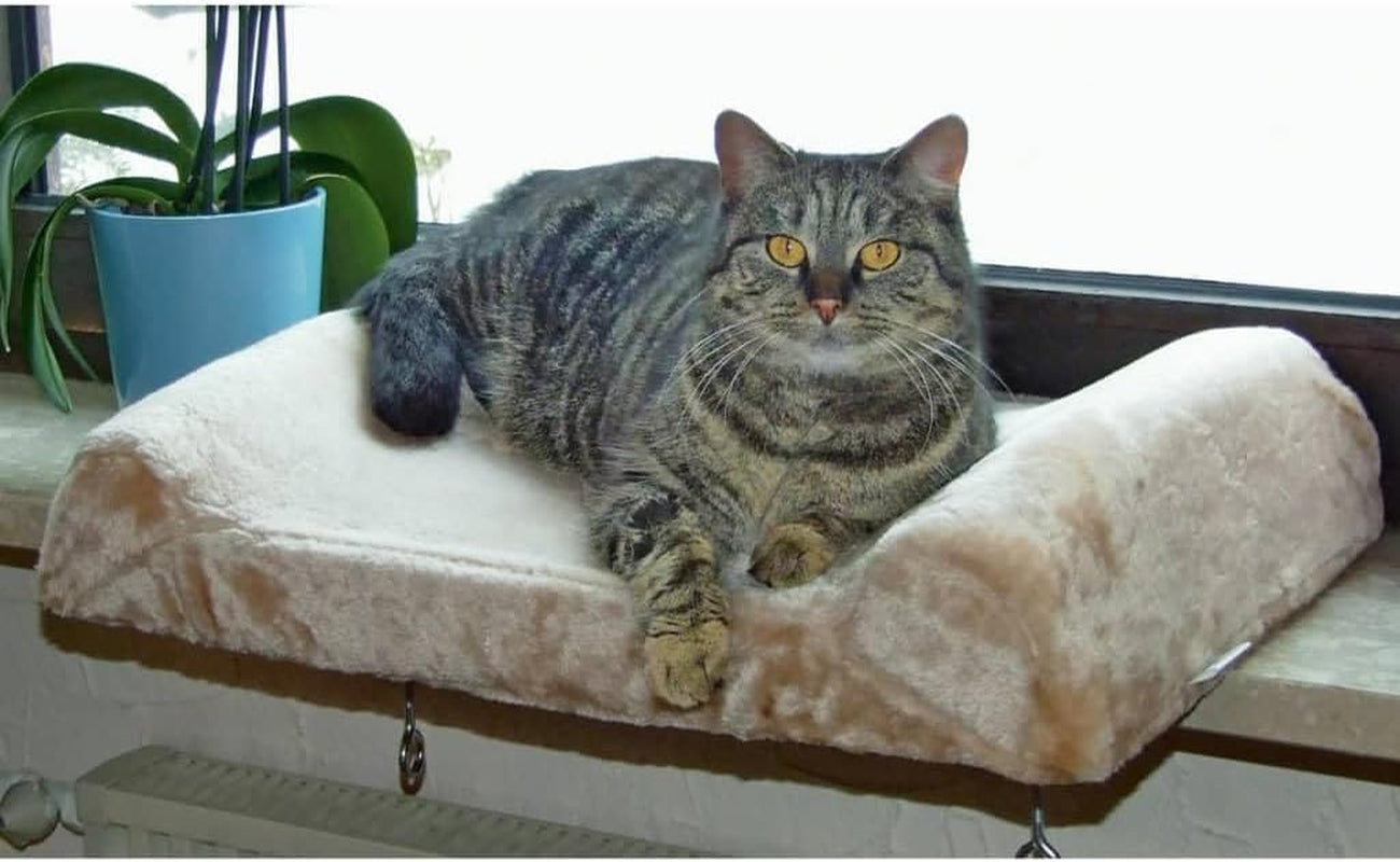 Coperte e mobili, Sedili vicino alla finestra, Animali domestici, Gatti, Lettini per gatti, Gatti - Letti, materassi