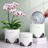 Vaso da fiori per orchidee con fori di drenaggio per trapianto, eccellente circolazione dell'aria, 2 pezzi, plastica a doppio strato, fioriera per orchidee in ceramica, vaso da fiori per orchidee trasparente, decorativo