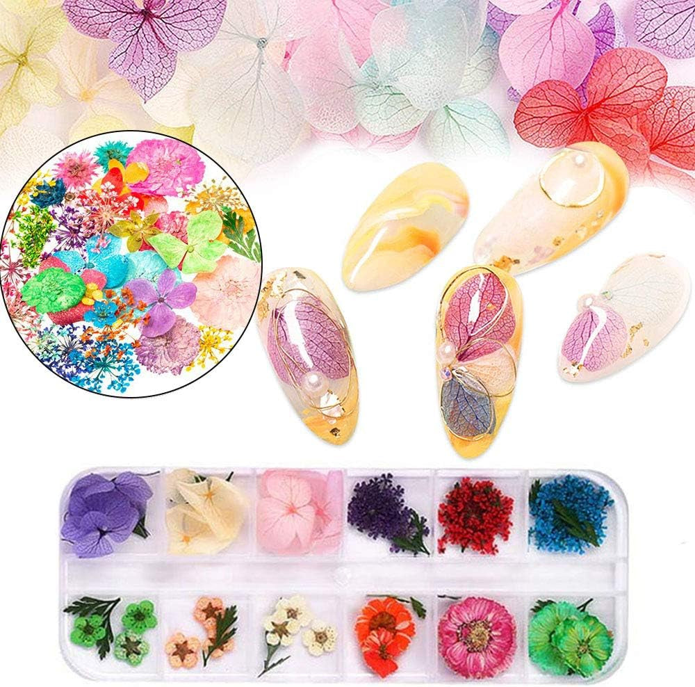 Kalolary Fiori secchi per unghie Farfalla Paillettes Smalto per unghie Adesivi per unghie Pinzetta Pietre per unghie Strass per unghie Matita per unghie 3D Decorazioni fai da te