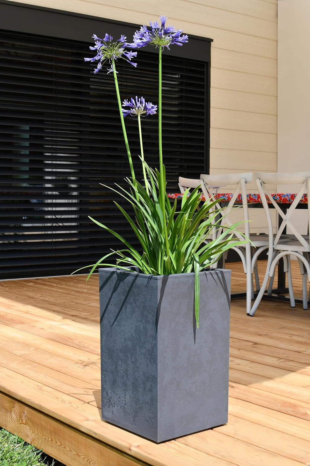 Vaso da fiori Basalt Up, quadrato, alto, 36 l, aspetto cemento, parete liscia, serbatoio dell'acqua, 29,5 x 29,5 x 49,5 cm, grigio antracite