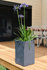Vaso da fiori Basalt Up, quadrato, alto, 36 l, aspetto cemento, parete liscia, serbatoio dell'acqua, 29,5 x 29,5 x 49,5 cm, grigio antracite