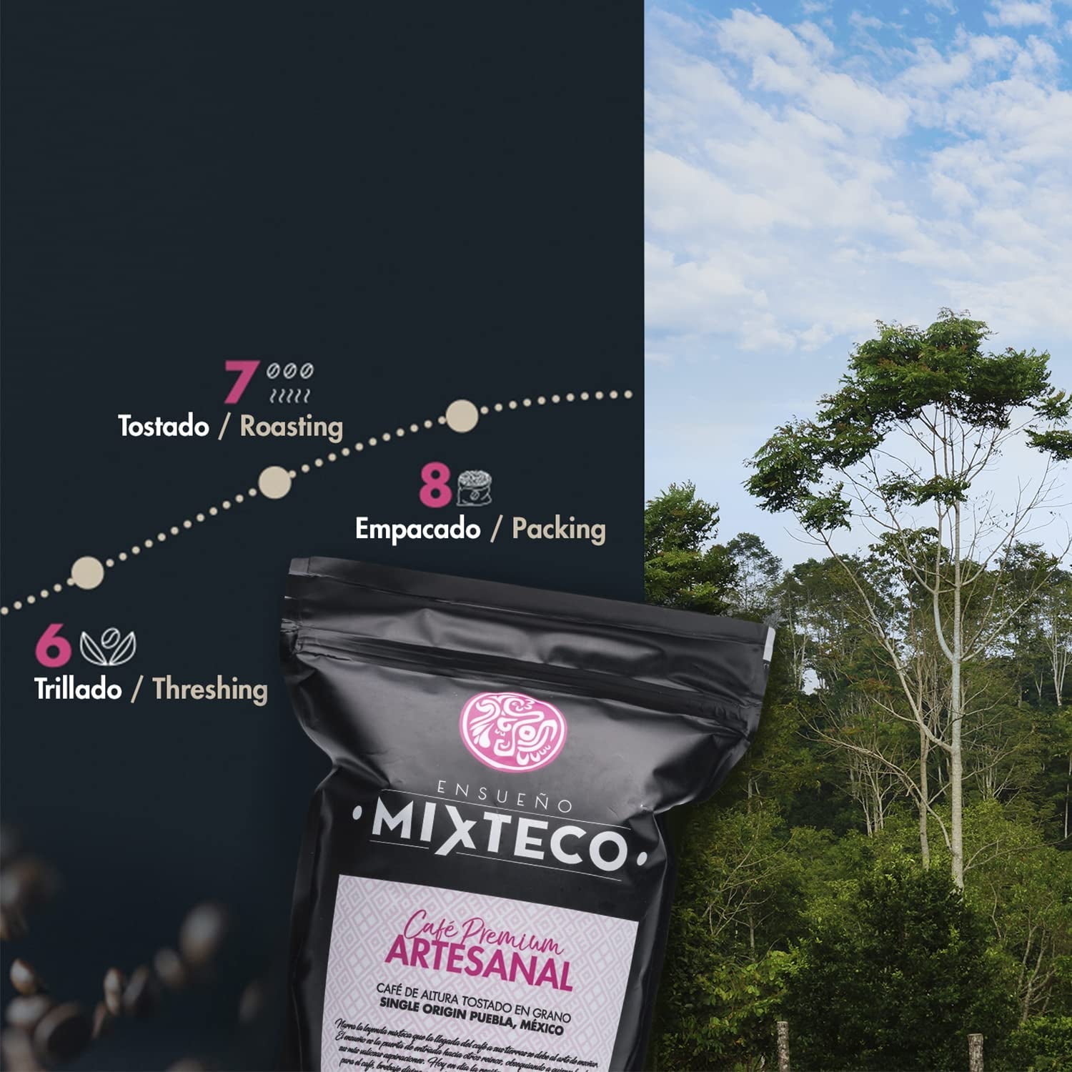 Chicchi di caffè Arabica tostati | 500 g con sentori di cacao e mandorle | Da una torrefazione tradizionale | Gusto delicato