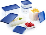 Westmark 4 contenitori per conservazione/congelamento alimenti, incluso coperchio, capacità: 0,25 l ciascuno, impilabili, plastica, Trio, colore: trasparente/blu, 25042270 Contenitori per conservazione alimenti Naty Shop