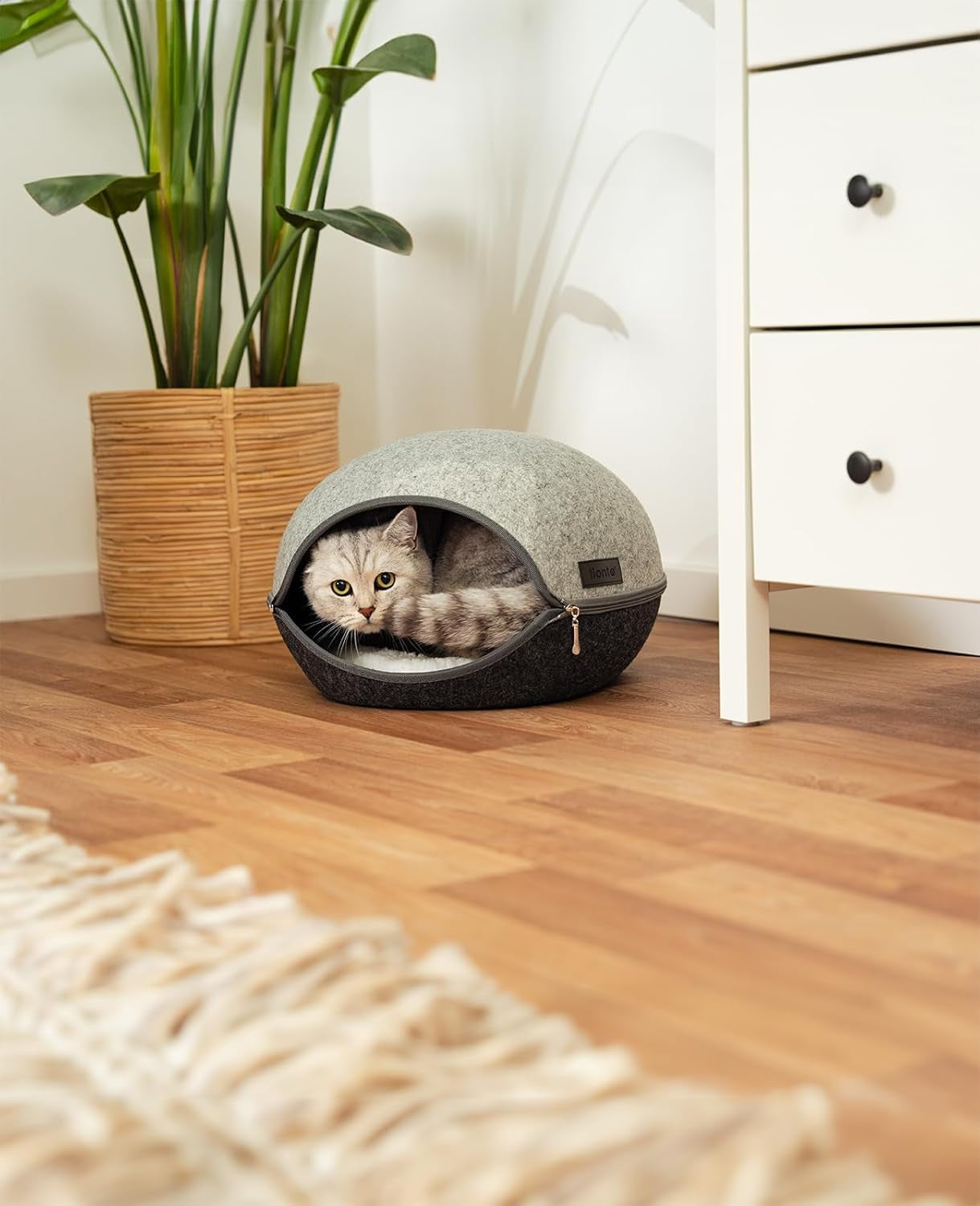 Coperte e Arredi, Animali Domestici, Grotte e Casette, Gatti, Letti per gatti, Gatti - Letti, materassi