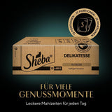 SHEBA Cibo umido per gatti - 72 buste x 85g - Varietà di pollame in gelatina - Cibo umido per gatti - 1 confezione grande