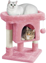 Coperte e Mobili, Animali Domestici, Gatti, Letti per gatti, Tiragraffi, Gatti - Letti, Materassi