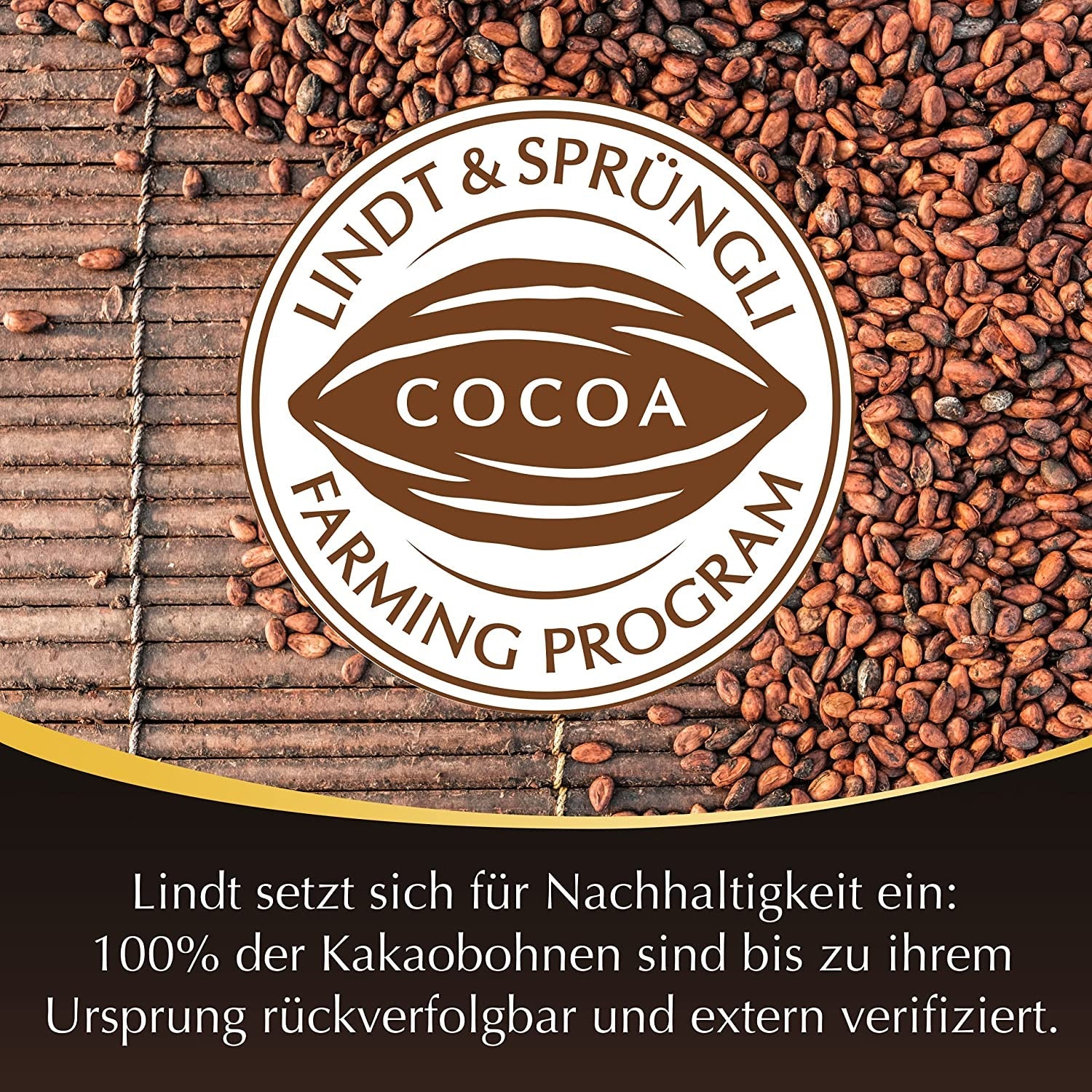 Lindt Chocolate Bastoncini Di Cioccolato Fondente LINDOR | 24 barrette di cioccolato x 37 g | Con un ripieno di cioccolato fondente morbido e fondente con il 60% di cacao | Regalo di cioccolato | Regalo di cioccolato | Pacchetto sfuso