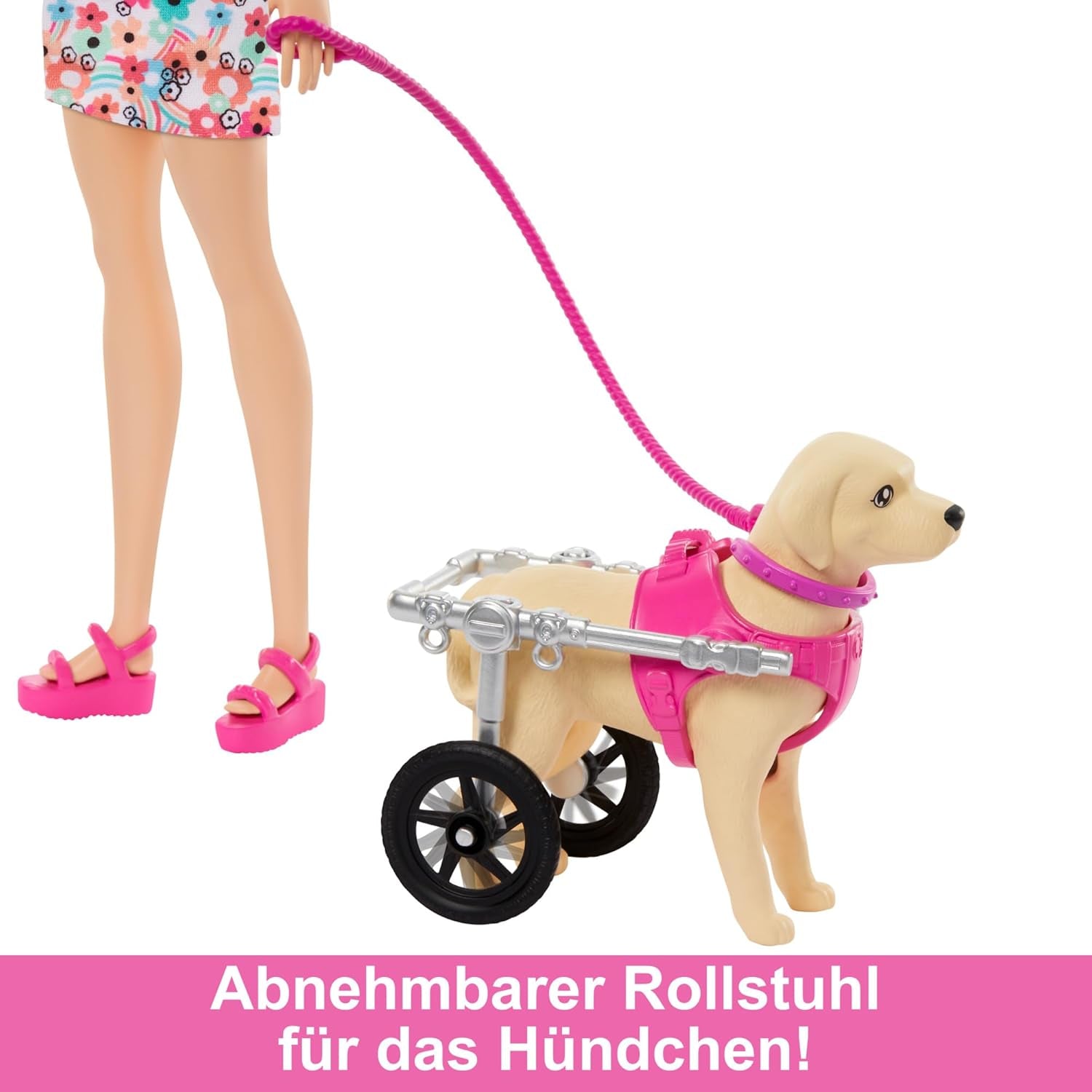 Barbie Dog Duo Doll e accessori, inclusi cane piccolo e cane grande con sedia a rotelle, guinzaglio, ciotola per cibo, cuccia e ossi per dolcetti, dai 3 anni in su, HTK37 Bambole Naty Shop