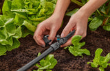 Raccordo a T Gardena Micro-Drip-System per ugelli spruzzatori: collegamento tra tubi da 13 mm e un ugello spruzzatore, irrigazione automatica delle piante, tecnologia di collegamento semplice e veloce, riutilizzabile (13206-20)