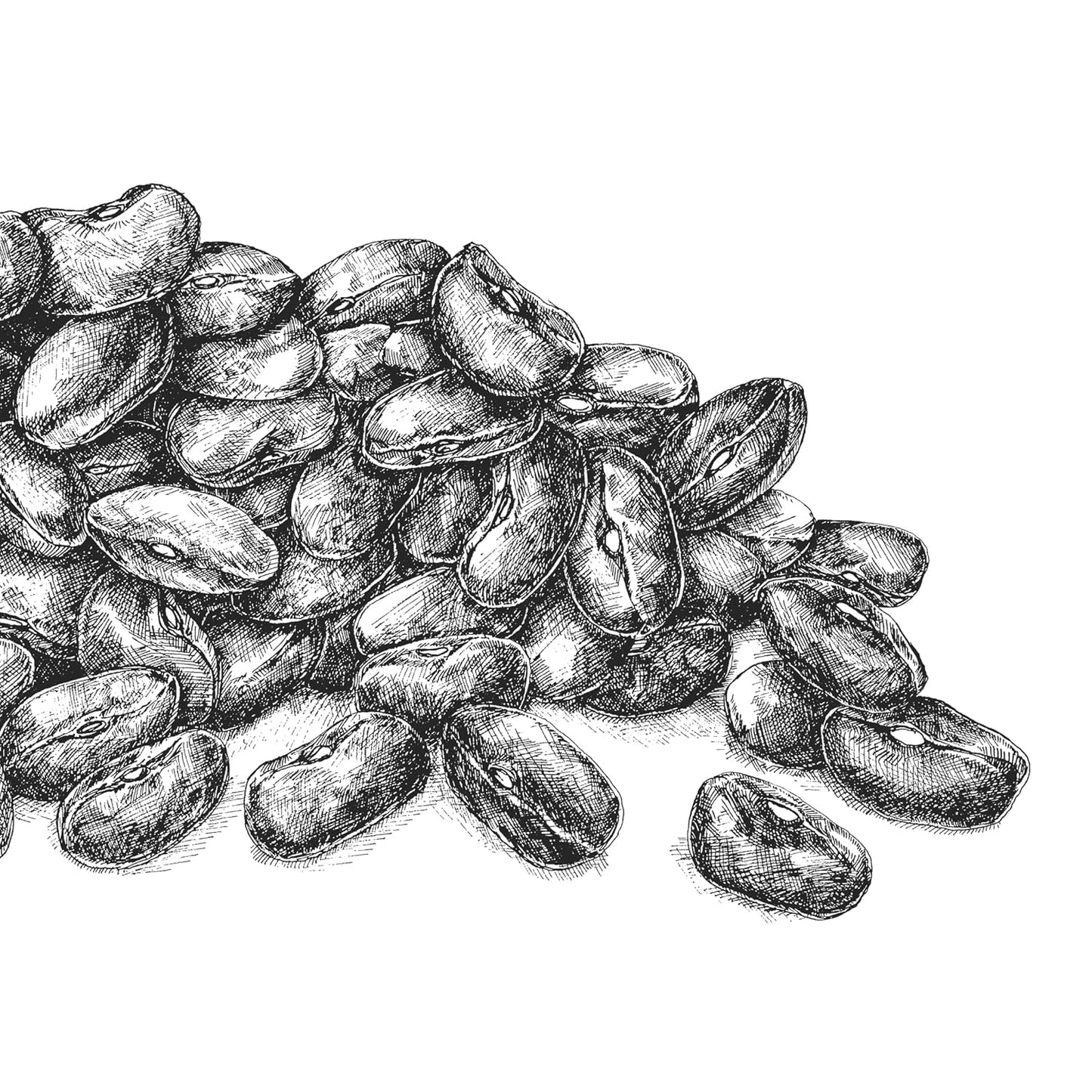 Boabe de hrișcă BioGourmet Demeter – pungă de 500 g | Fără gluten, bogate în fibre și regionale | Din agricultură ecologică germană (Baden-Württemberg/Bavaria) | Ideale pentru musli, salate și garnituri
