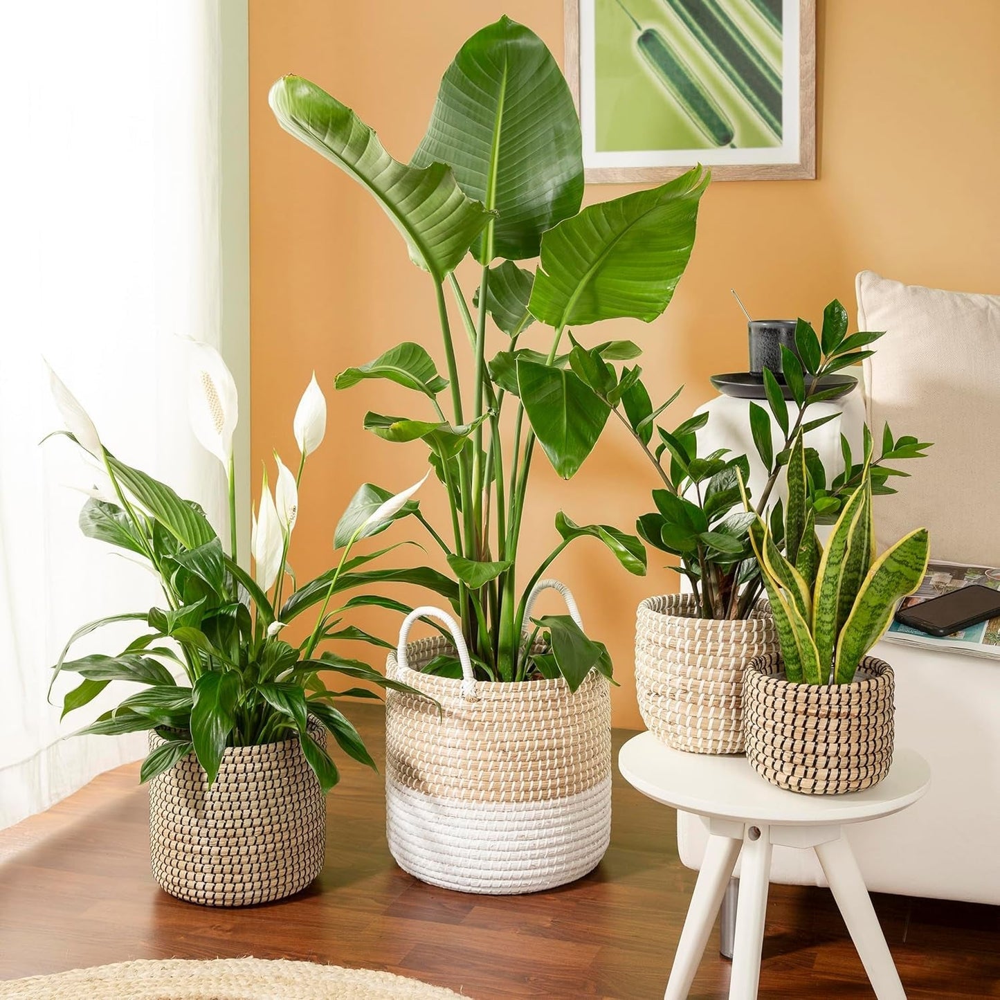 Scheurich Seagrass 17, vaso/cestino in alghe marine, colore: bianco, diametro 17 cm, altezza 16 cm, volume 3,5 l.