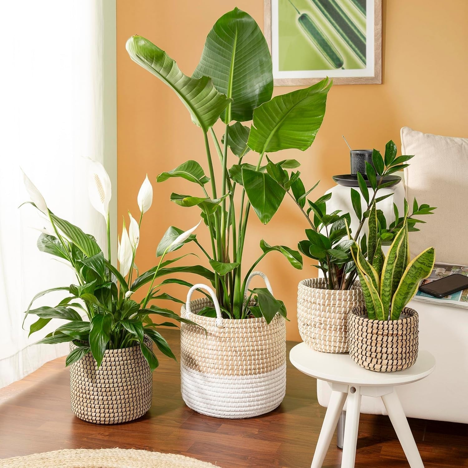 Scheurich Seagrass 17, vaso/cestino in alghe marine, colore: bianco, diametro 17 cm, altezza 16 cm, volume 3,5 l.
