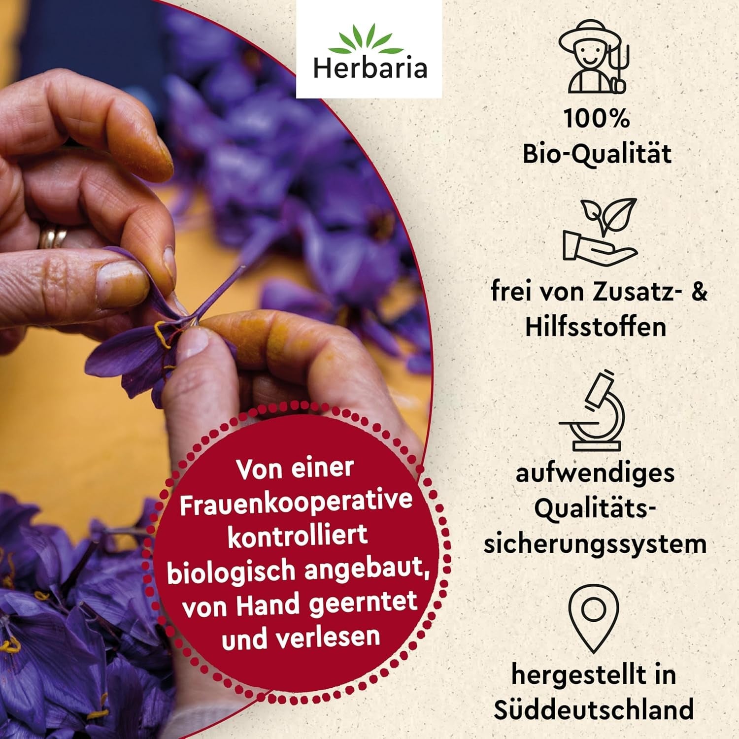 Herbaria Safran-Fäden bio 0,5g in vetro – SafranFäden bio aus dem bereicht Safran-Ort Taliouine in Marokko – Safranfäden in Premium Bio-Qualität – Saffron Premium - Safran première catégorie