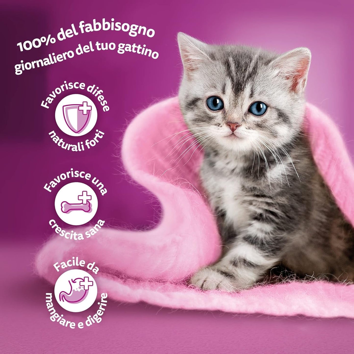 Whiskas Junior Classic cibo umido per gatti, 13 x 4 x 85 g