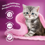 Whiskas Junior Classic cibo umido per gatti, 13 x 4 x 85 g