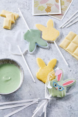 HEITMANN KREATIV - Lecca lecca al cioccolato - Con coloranti in polvere alle erbe - Giallo e Verde - Kit fai da te - Pasqua