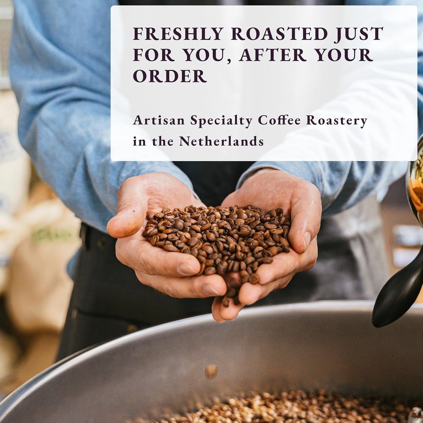 Tostato dopo l'ordine ~ Chicchi di caffè speciali più freschi | Torrefazione da 80 TAZZE | Guatemala Antigua, Monorigine(1kg) Spezialitäten Kaffeebohnen, Frisch Geröstet