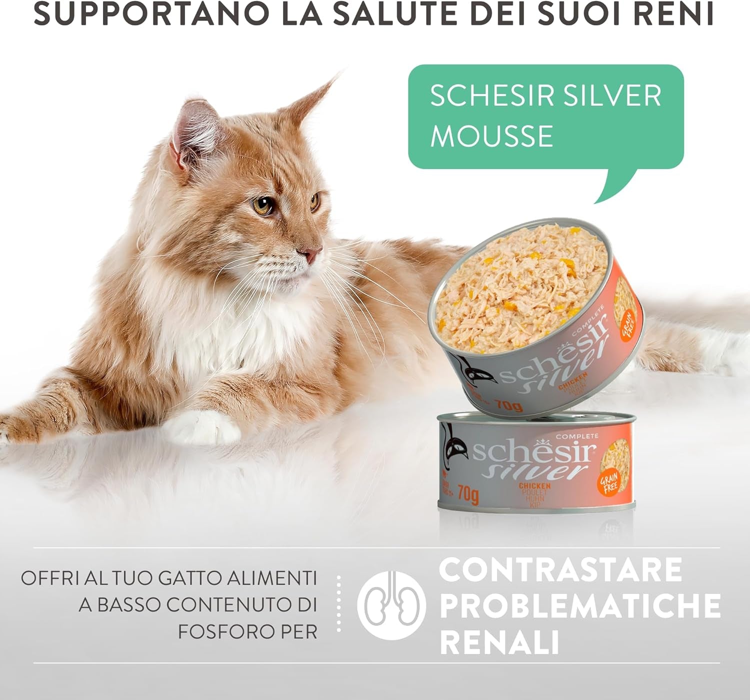Pollo Silver con mousse e filetti d'anatra, alimento umido completo per gatti anziani, senza cereali, supporto immunitario, fonte di umidità, 12 x 70g