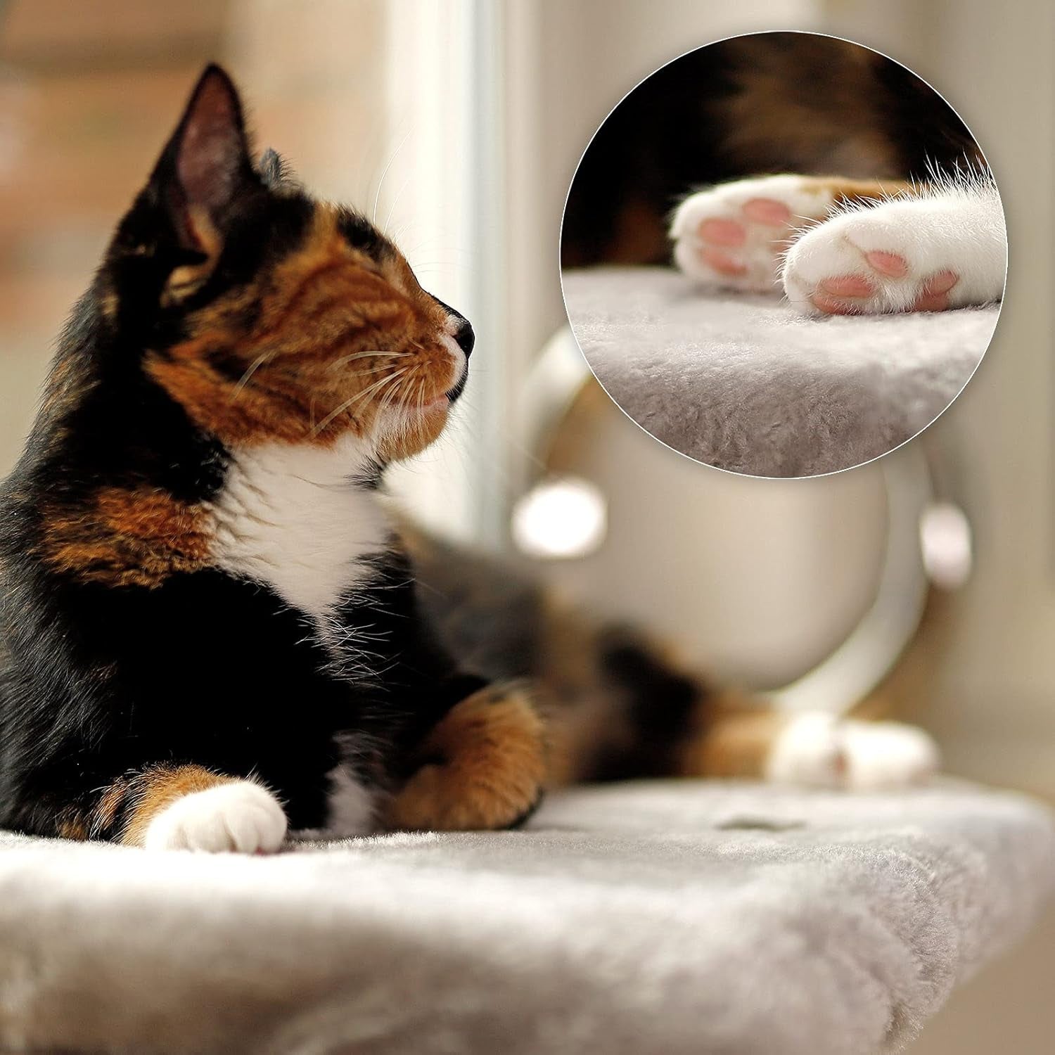 Coperte e mobili, Sedili vicino alla finestra, Animali domestici, Gatti, Letti per gatti, Gatti - Letti, materassi