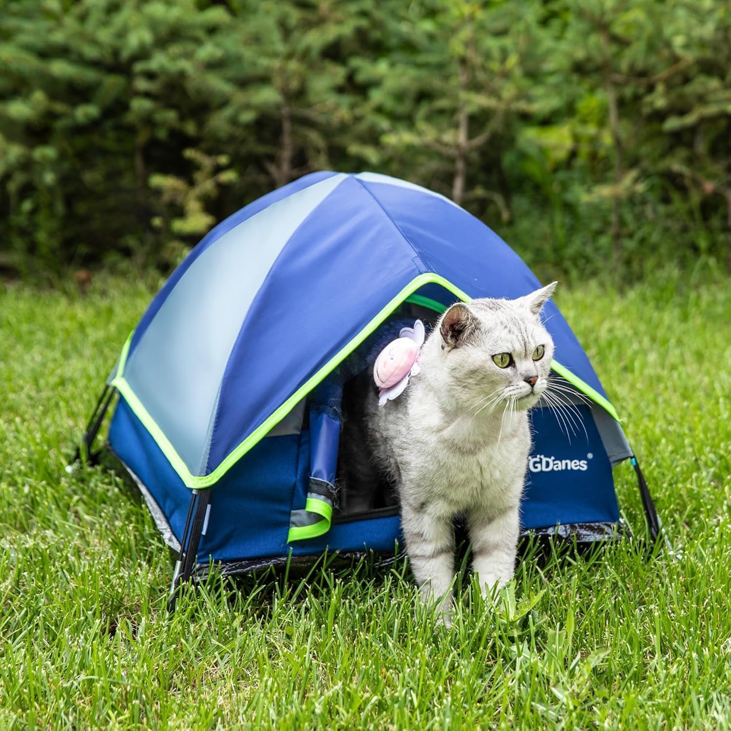 Coperte e Arredi, Animali Domestici, Grotte e Casette, Gatti, Letti per gatti, Gatti - Letti, materassi
