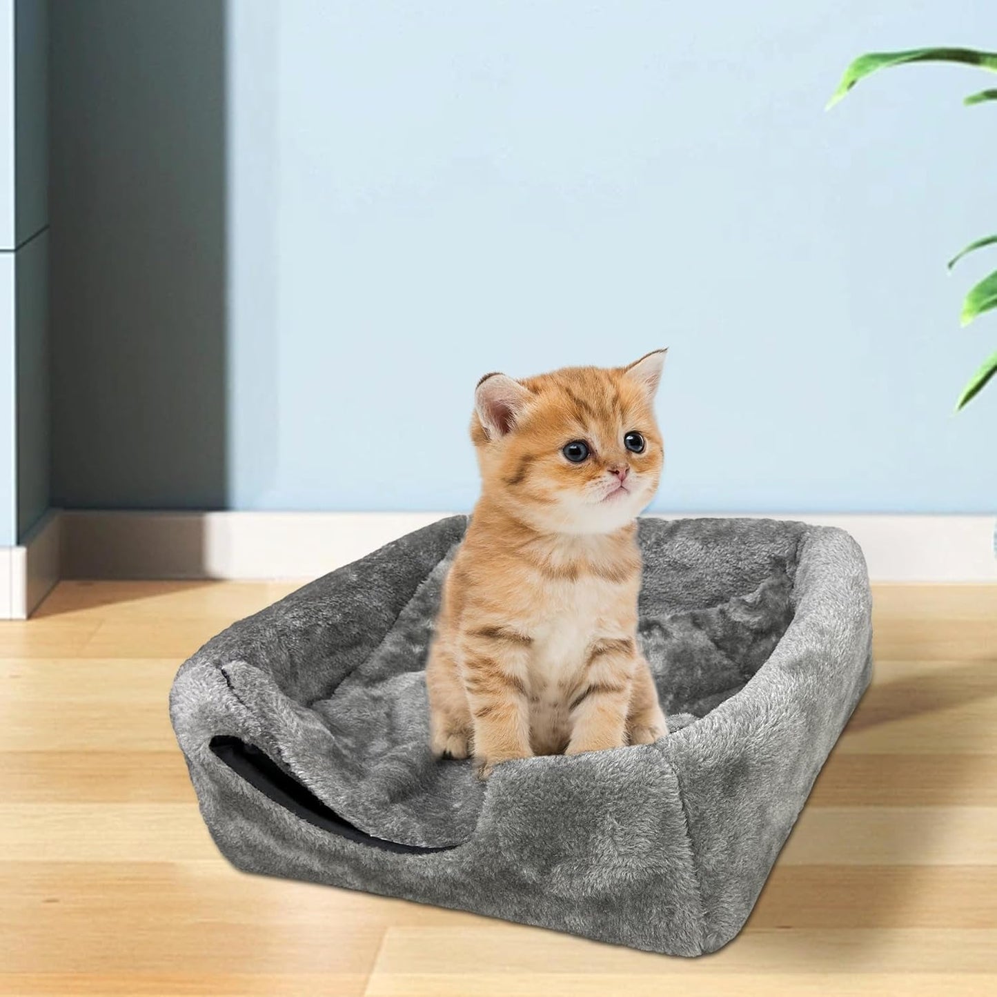 Coperte e Arredi, Animali Domestici, Grotte e Casette, Gatti, Letti per gatti, Gatti - Letti, materassi