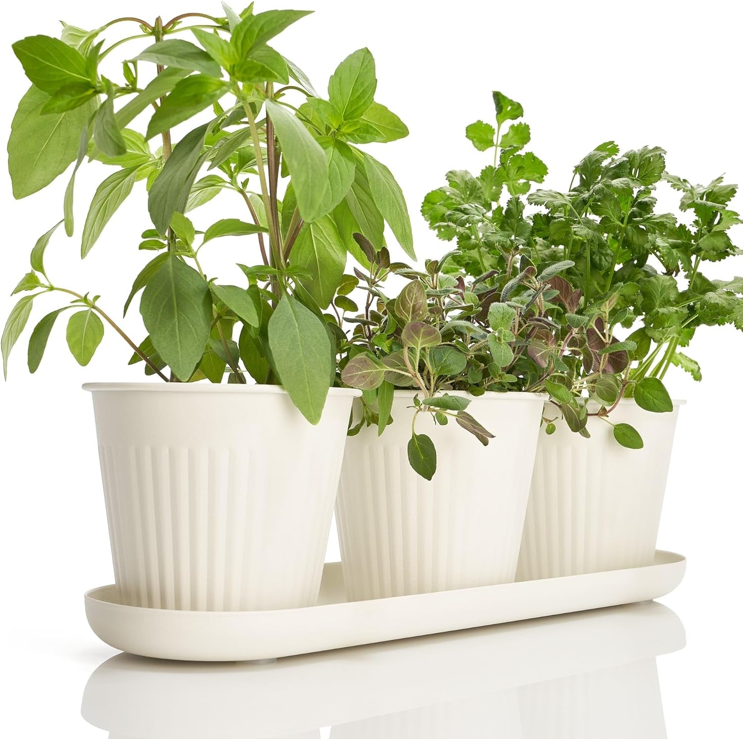Set di 3 bellissimi vasi da giardino per erbe aromatiche, perfetti per qualsiasi davanzale o bancone della cucina, un moderno set di fioriere decorative da giardino che include vassoio e...