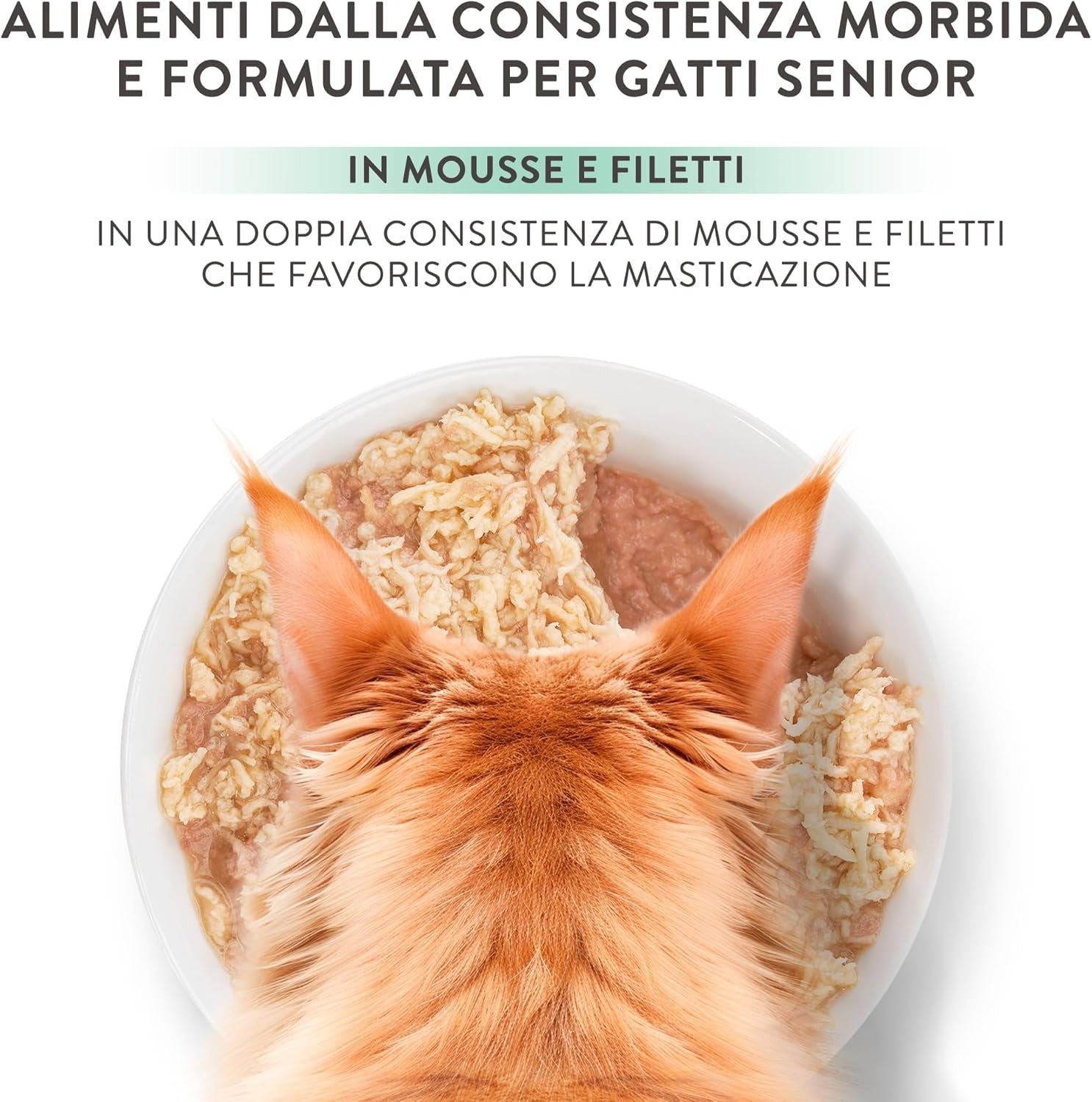 Pollo Silver con mousse e filetti d'anatra, alimento umido completo per gatti anziani, senza cereali, supporto immunitario, fonte di umidità, 12 x 70g