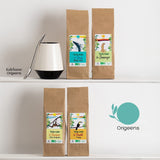 SET REGALO TÈ ORIGEENS BIO MATE X4 I Yerba Mate Bio 4X80G I Set da tè Yerba Mate, idea regalo