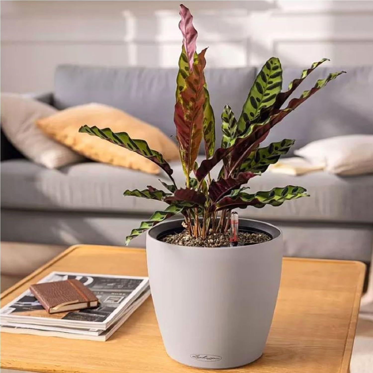 Fioriera LECHUZA Classico Color LS grigio ardesia con sistema di irrigazione |Ø 35 × 32 cm|14281