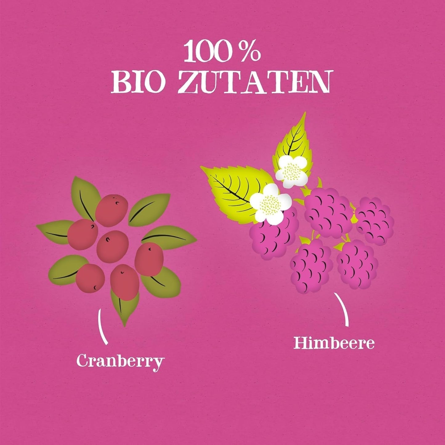 4Er Pack CUPPER Tè alla frutta biologico "Infuso di mirtillo rosso e lampone", 4X20 bustine di tè non bianco, biologico, commercio equo e solidale
