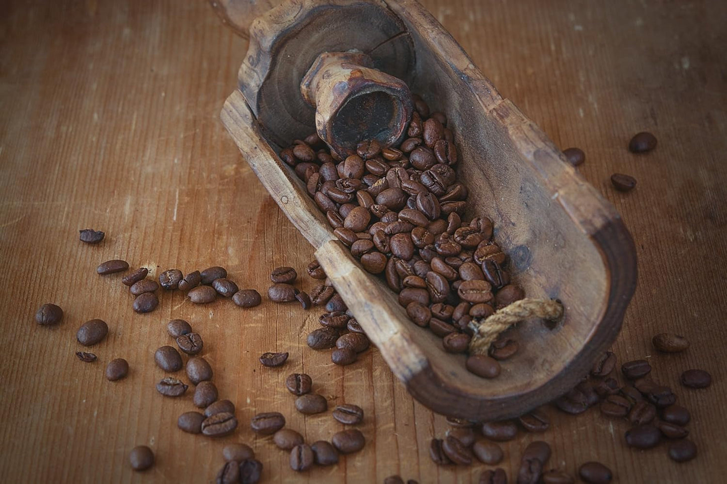 Caffè speciale dal Sud America - Galapagos, l'ecosistema unico delle isole (500 grammi, chicchi interi) - caffè monorigine - caffè premium - bassa acidità - leggermente tostato e fresco