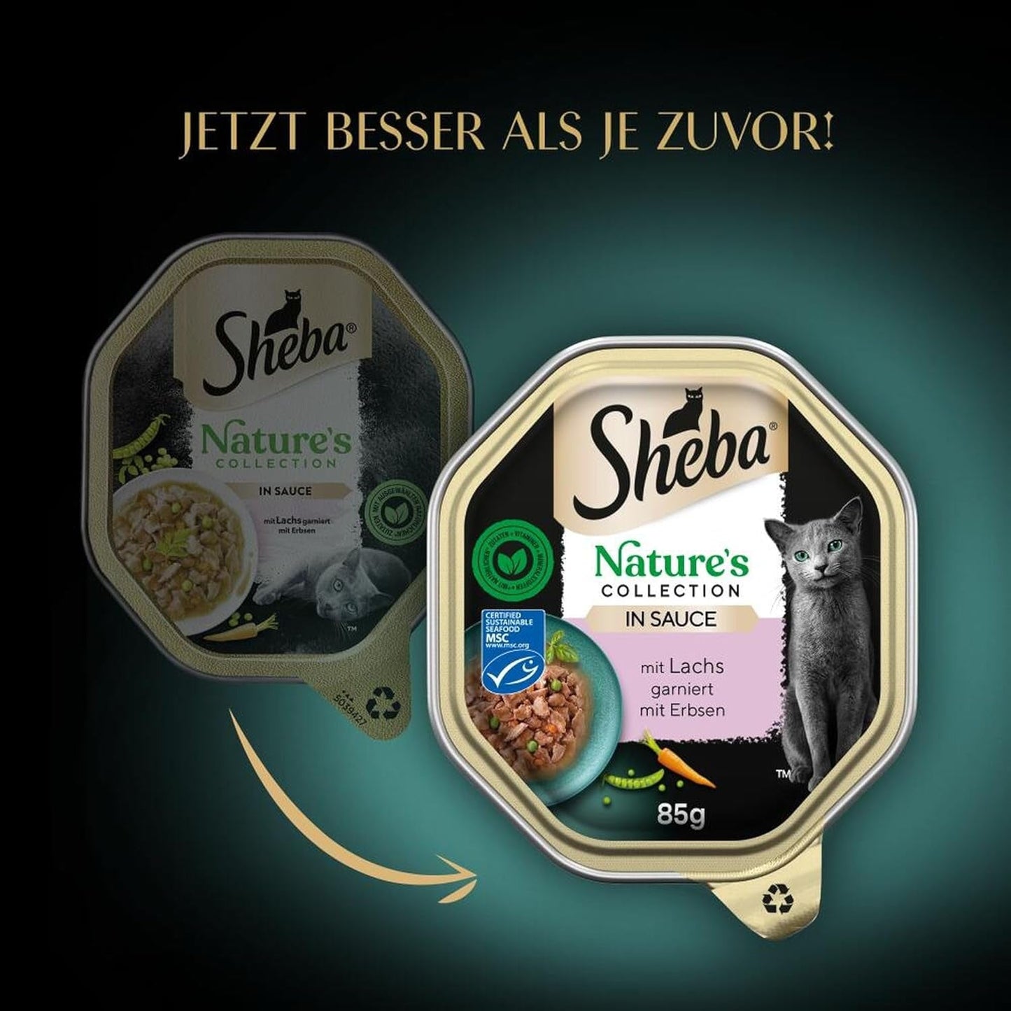 SHEBA Cibo umido per gatti, Collezione Nature in salsa di salmone, 2 x 11 x 85 g