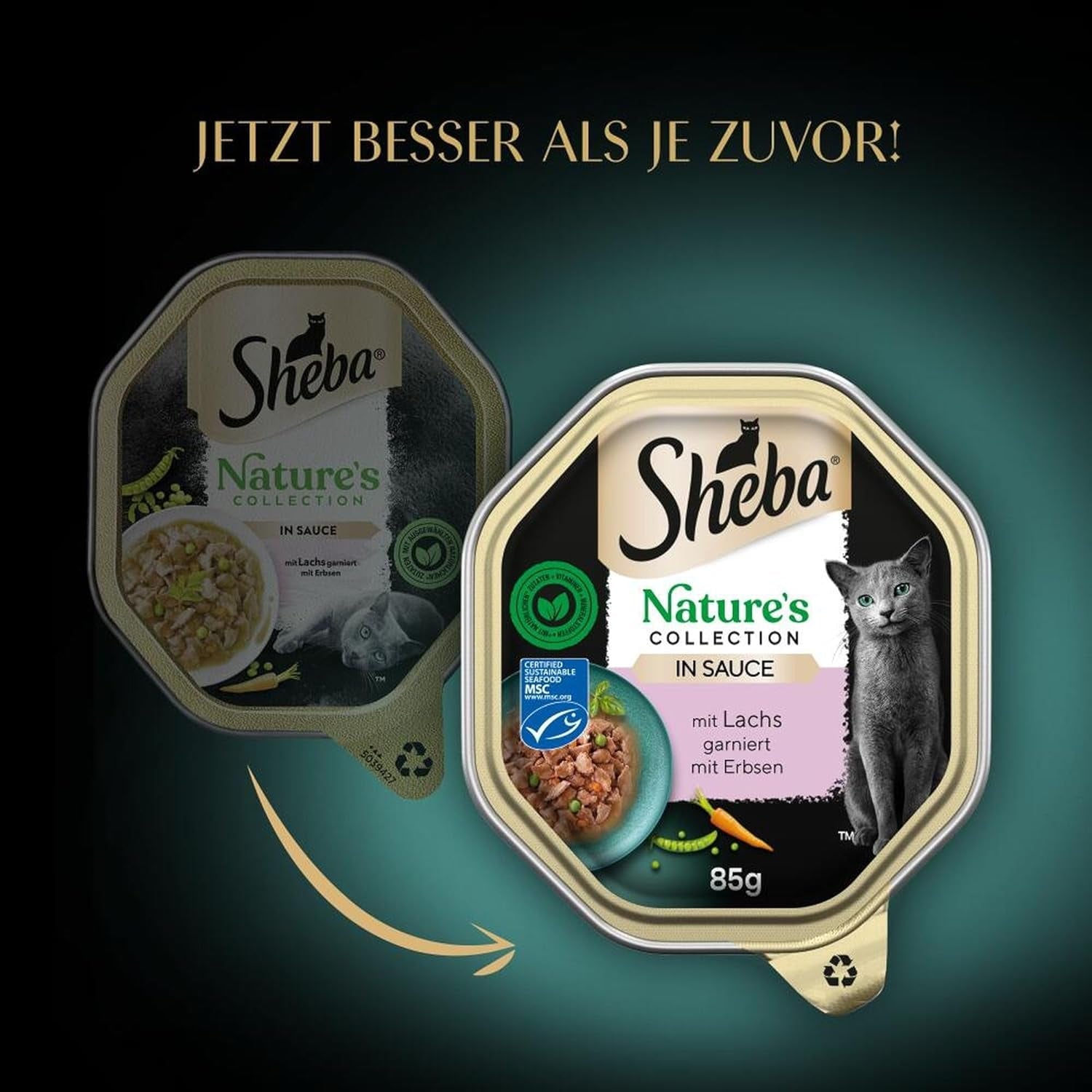SHEBA Cibo umido per gatti, Collezione Nature in salsa di salmone, 2 x 11 x 85 g