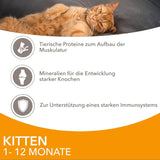 IAMS Delights Kitten Nassfutter - Multipack Katzenfutter mit Hunn in Sauce, alta qualità Futter für Junior Kätzchen von 1-12 Monate, 12 x 85 g