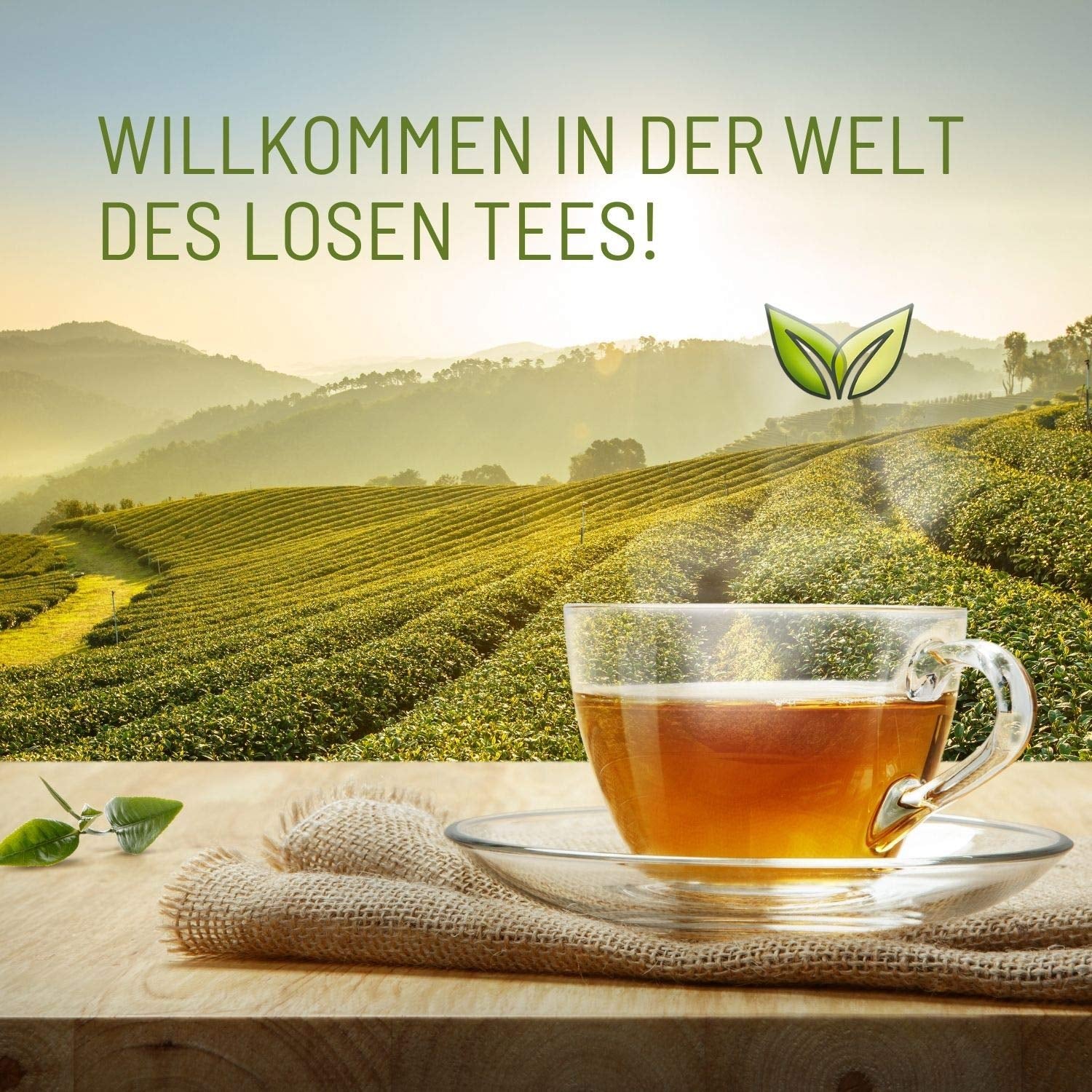 Teeverliebt - Darjeeling Bio Second Flush 1000G I Tè Darjeeling FTGFOP1 dall'India I Tè nero leggero dal sapore pieno I 1 kg