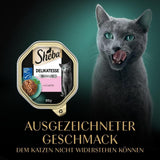 Sheba Cibo umido per gatti, Prelibatezze in gelatina di salmone, 2 x 11 x 85 g