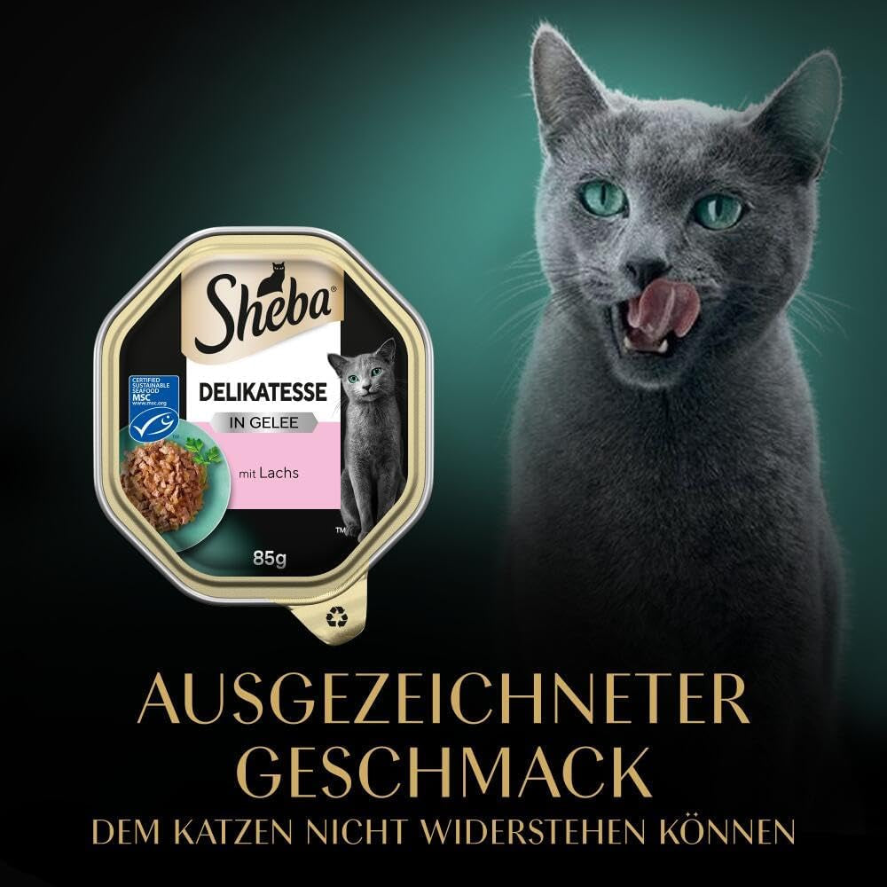 Sheba Cibo umido per gatti, Prelibatezze in gelatina di salmone, 2 x 11 x 85 g
