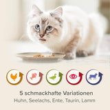 BEAPHAR – Nierendiät Mix Pack – Diätalleinfuttermittel Für Katzen Mit Chronischer Niereninsuffzienz – Zur Unterstützung Der Renenfunktion – 6X 100 g