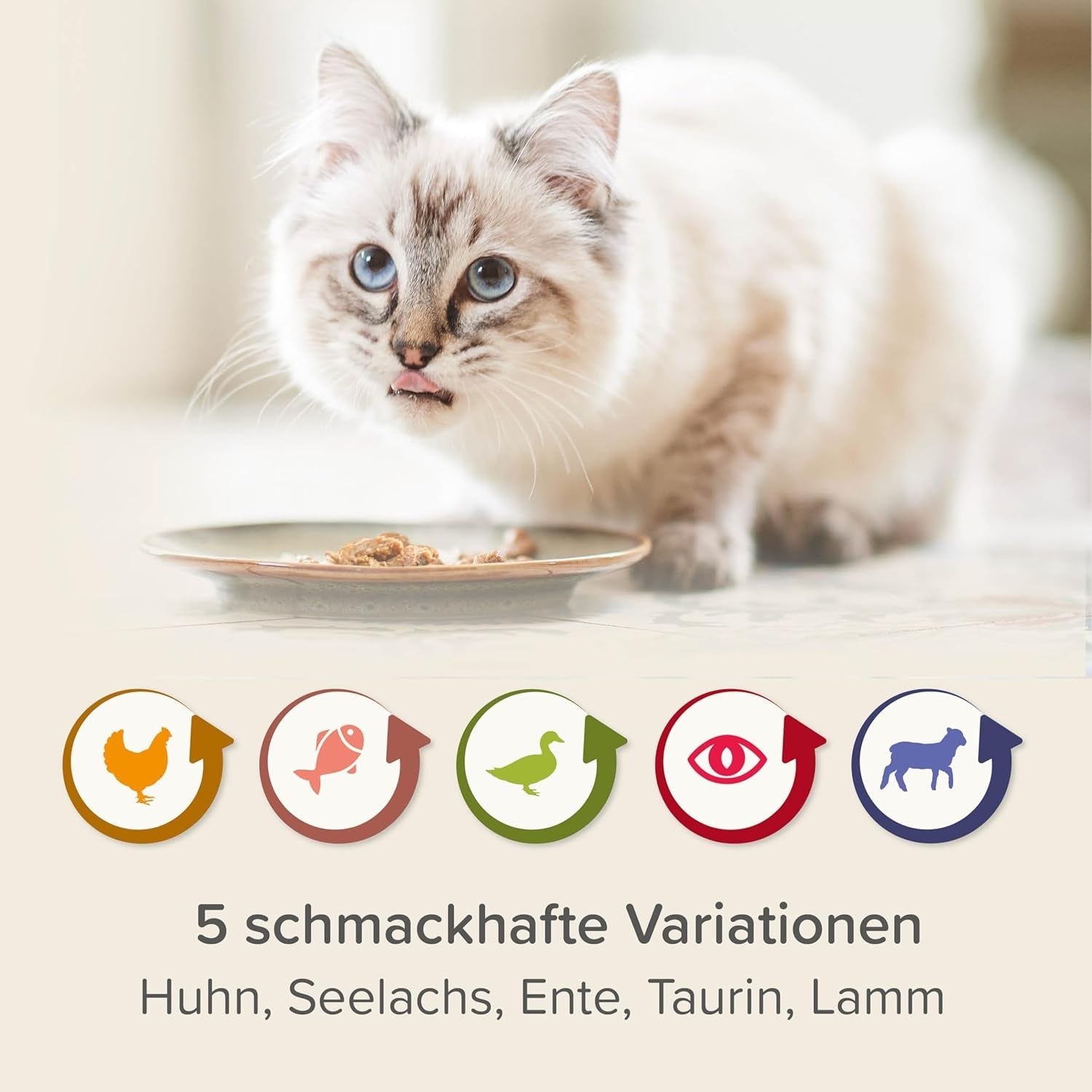 BEAPHAR – Pacchetto misto Renal Diet – Alimento completo per gatti con insufficienza renale cronica – Per supportare la funzionalità renale – 6 x 100 g