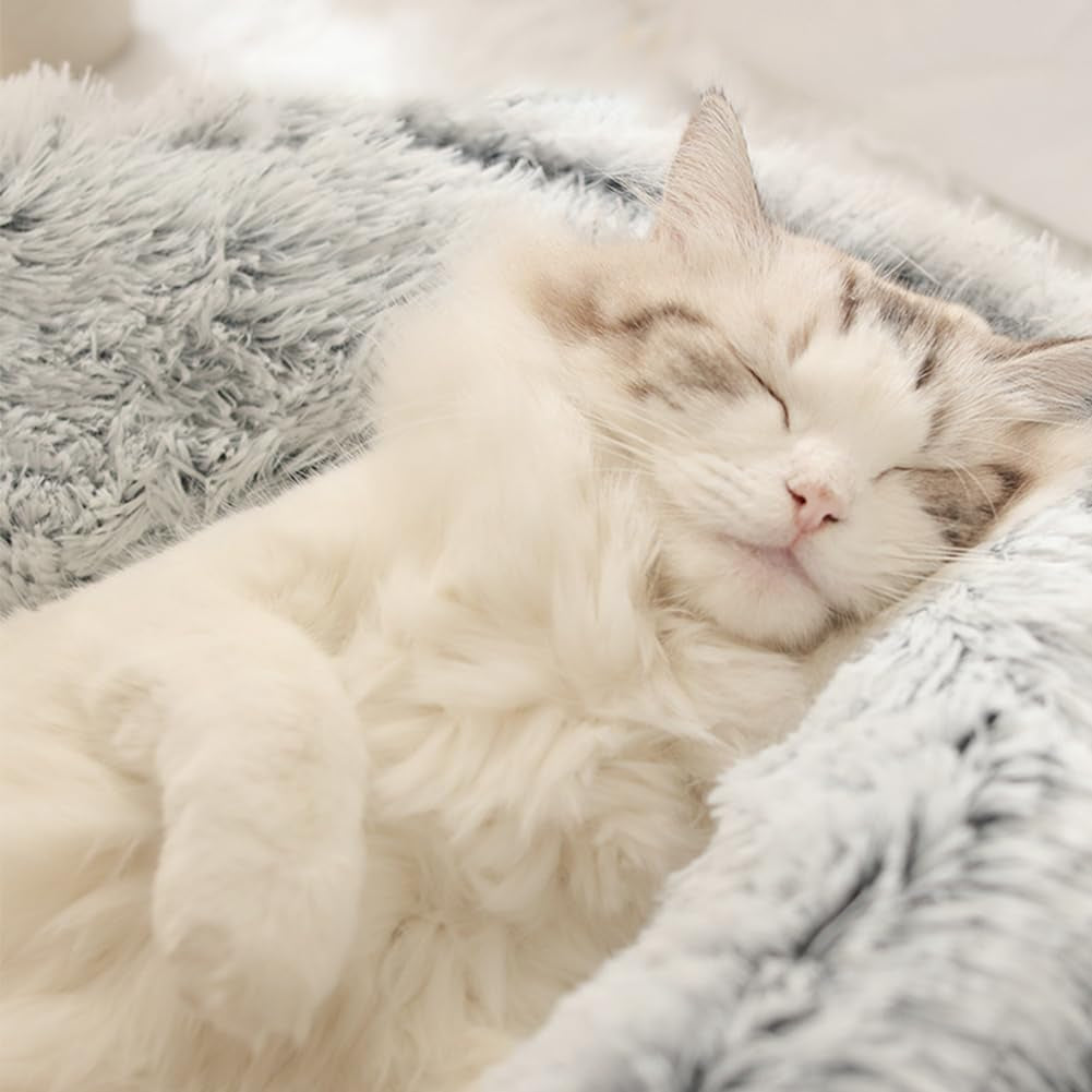 Coperte e Mobili, Animali Domestici, Grotte e Casette, Gatti, Lettine per gatti, Gatti - Letti, Materassi