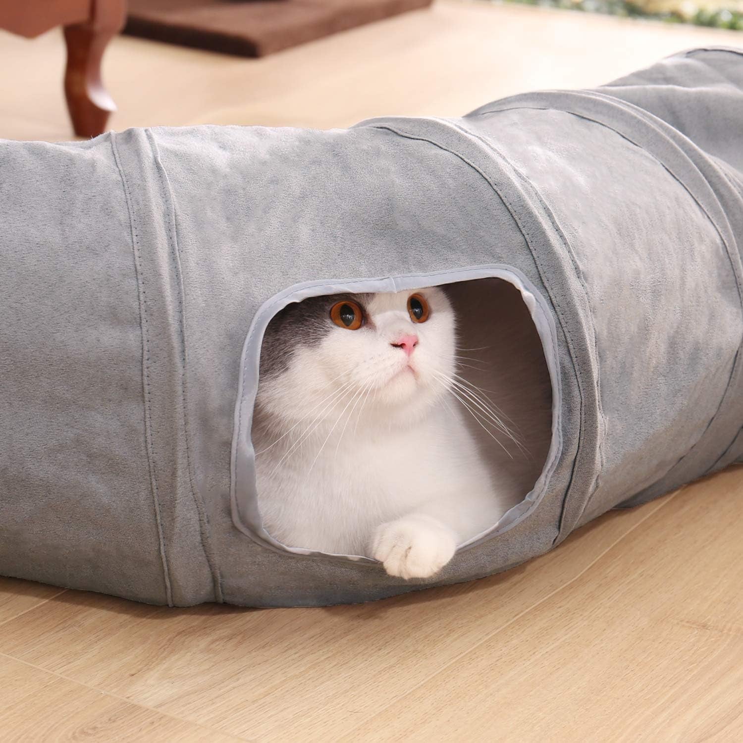 Animali domestici, gatti, gatti - letti, materassi, giocattoli, tunnel
