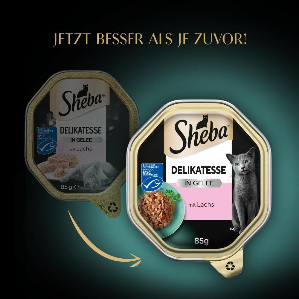 Sheba Cibo umido per gatti, Prelibatezze in gelatina di salmone, 2 x 11 x 85 g