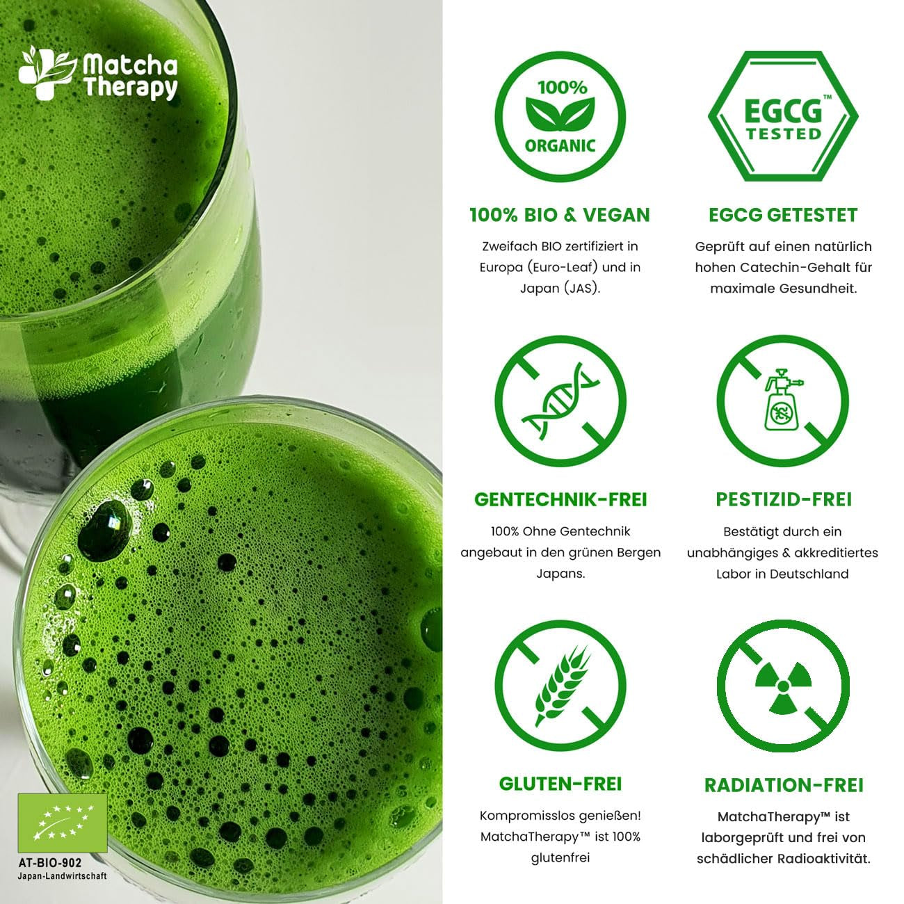 Terapia Matcha 30+ | Polvere di tè matcha biologico | 60 g| Con un contenuto verificato di almeno 30 mg/g di catechina EGCG | Supporta il sistema immunitario e i livelli di energia | Qualità cerimoniale | Tè verde dal Giappone