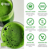 Terapia Matcha 30+ | Polvere di tè matcha biologico | 60 g| Con un contenuto verificato di almeno 30 mg/g di catechina EGCG | Supporta il sistema immunitario e i livelli di energia | Qualità cerimoniale | Tè verde dal Giappone