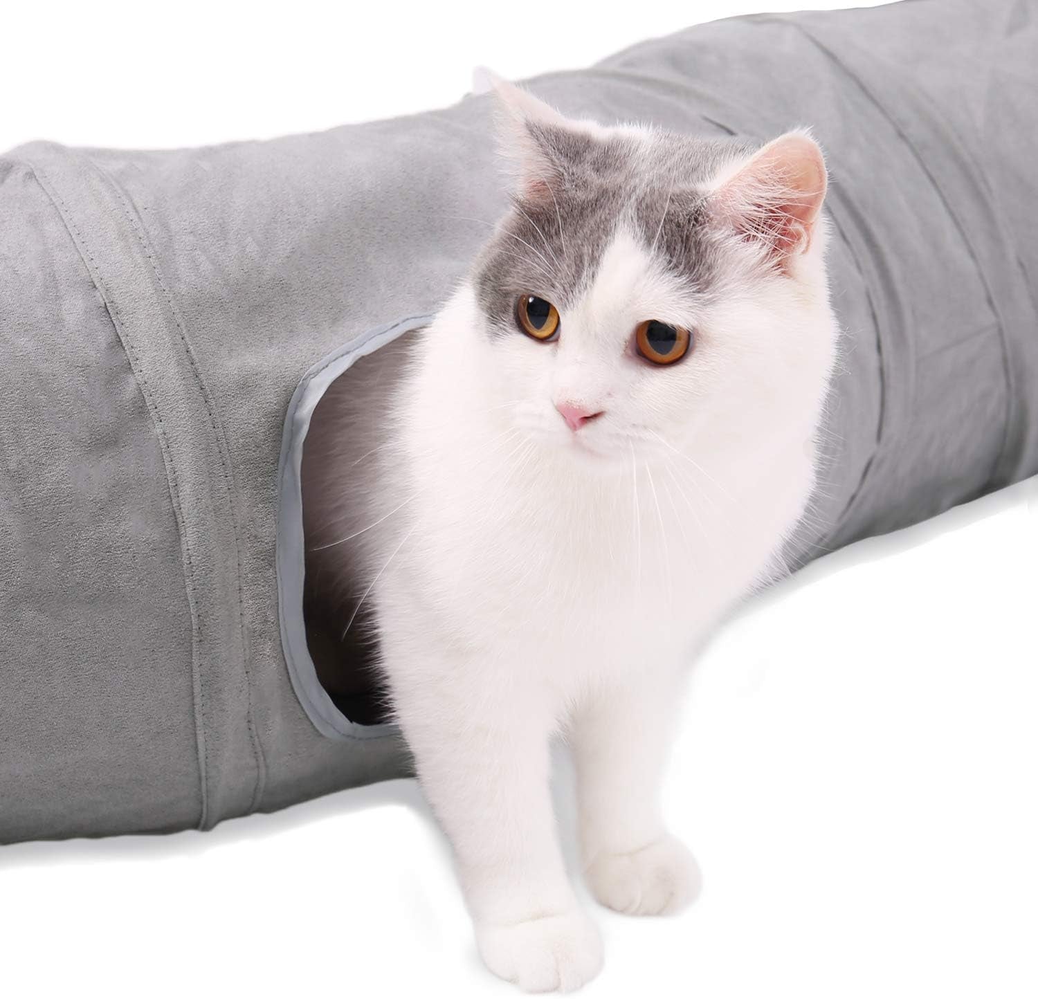 Animali domestici, gatti, gatti - letti, materassi, giocattoli, tunnel