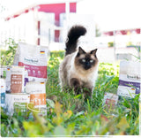 Venandi Animal - Premium Nassfutter für Katzen, Probierpakett I, Pollo, Pute, Cotenna, 6 x 200 g (confezione da 6), getreidefrei und naturbelassen